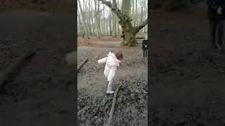 Esher Common Woods 🌲🌲🌲