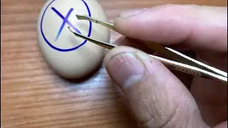 RAW EGG PEELING LIVE