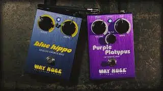 Way Huge&reg; On The Floor: Blue Hippo Analog Chorus + Purple Platypus Octidrive MKII