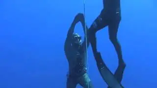 Vortex Freediving: PFI Instructors