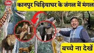 Kanpur Zoo 2023 | Kanpur Chidiyaghar Fish House | Kanpur Zoological Park | Allen Forest Zoo Kanpur