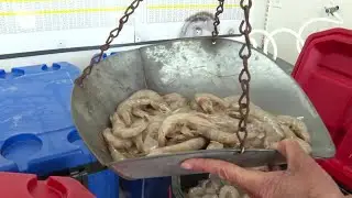 Shoppers pack stores for fresh seafood ahead of Easter