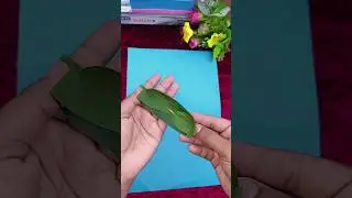 &ldquo;Amazing Boat Made with Leaves | DIY Leaf Boat Craft Idea | Satisfying Shorts&rdquo;