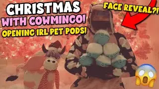 🎁 Spending Christmas with Cowmingo! Opening IRL Pet Pods! *Cowmingo Face Reveal?!*