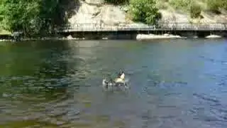 Maya Swimming!