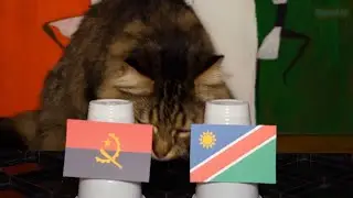 Angola Vs Namibia - Cats Africa Cup of Nations 2024 Prediction