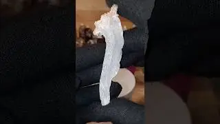 Ram horn gypsum selenite featuring elongated growth and frosted sparkle #mineralspecimen #crystals