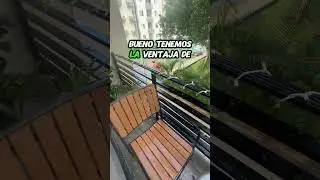 Я просто сошла с ума, убирая этот бардак! ⚠️ Никогда не выметайте сухие экскременты летучих мышей...