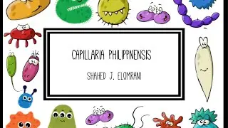 Capillaria Philippnensis