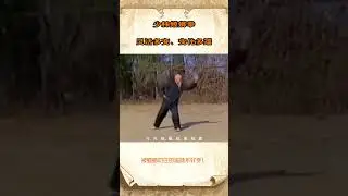 Chinese Traditional Martial Arts: Tongbi, Mantis boxing - Skilled Interpretation, Rare Old Videos