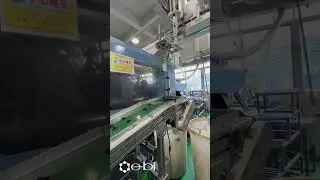 Automation at Work: Robotic Part Removal After Injection Molding