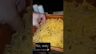 Meals under $20: Cheesy Noodle Bake!