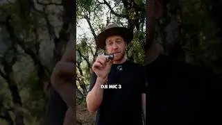 DJI Mic 3 is Awesome. And Tiny.