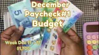 💮Составьте бюджет вместе со мной || Неделя с 11 по 17 декабря || Доход одного человека || Путь к ...