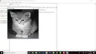 How to Change Image Size (Resize)