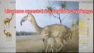 Ancestral dos Cavalos e outros ungulados modernos