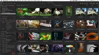 Работа с метаданными в CaptureOne