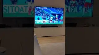 Danmark 1-1 goal VS Frankrig #footballshorts