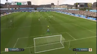Chicken Goal Tender