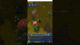 DROP DO TM06 - TOXIC 🍄📀 #pokemon #mmorpg #gaming #gameplay #otp #games #otpokemon #tibia