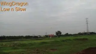 WingDragon Low n Slow