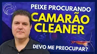 PEIXE PROCURANDO CAMAR&Atilde;O CLEANER... DEVO ME PREOCUPAR?