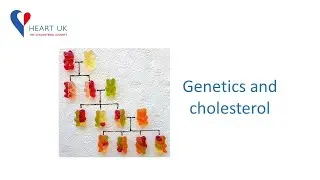 Genetics and cholesterol