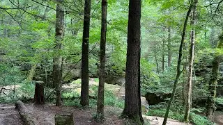 Red River Gorge:  Rock Bridge Arch, Angel Windows, and Whistling Arch