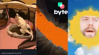 Best of Byte Day 1!! Byte Compilations (New Vine)