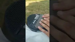 Trailer Sitar 9 Wave Drum mini