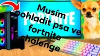 Musim  pohladit psa abych mohl zab#t team ve fortnite
