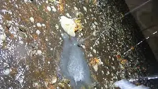 silvery pit on narrow boat base plate - MIC