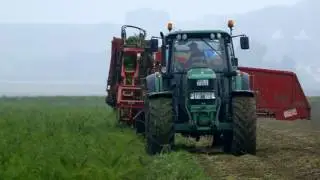 LaVita &ndash; Blick hinter die Kulissen: Gem&uuml;sesorten in LaVita in Bioqualit&auml;t