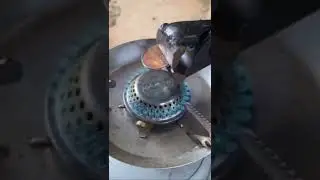 How you make a rainbow coin!!! 😱😱😎😎