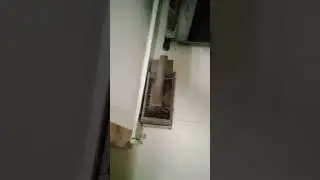 #sholay# bollywood #movie#film#entertainment #music #dialogue #viral short # india #public #mouse