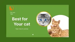 How to Take Care of Your Cat in Summer। Best Cat Care in Summer.