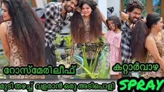 4ഐറ്റം കൊണ്ട് തലമുടി തഴച്ചു വളരും | HAIR CARE #haircare #hairsecrets #hairgrowth