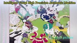Weldo Intelligent Visual High Precision Automatic painting Machine Video 98