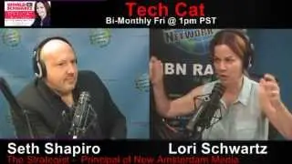 Tech Catalyst Radio Show: Seth Shapiro, The Strategist