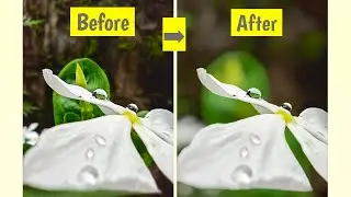How to make DSLR like blur using phone? || Snapseed easy editing tutorial 😮😮 ||  Photofreak Guy