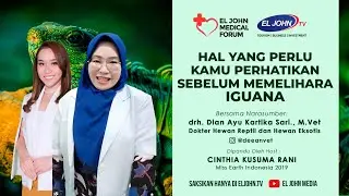Hal Yang Perlu Kamu Perhatikan Sebelum Memelihara Iguana - EL JOHN Medical Forum