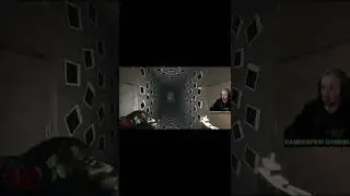 Get Ready To Jump! - Entity Scared Gamerspew In Visage | Horror Lets Play #shorts