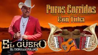 El tigrillo Palma - Corridos Co Tuba Con Banda Mix 2021 || Exitos De Oro