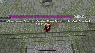 Stormsurvival.net