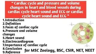 Cardiac cycle heart sound and ECG | Faces | Pressure & volume changes | Electrocardiogram