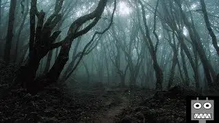 Tief unter dem Wald Horror H&ouml;rspiel