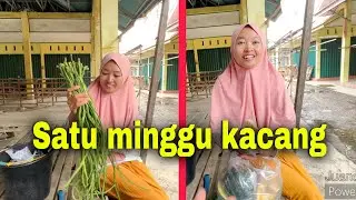 SATU MINGGU MENU KACANG⁉️ OSENG. SANTAN. GULAI. URAP.
