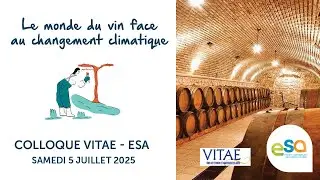 Mot d'accueil de Mathilde Favre d'Anne | Colloque ESA-VITAE 2025