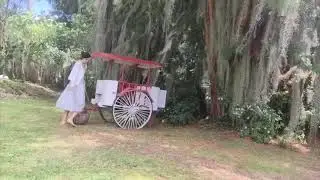 PROACTIVIDAD, ACCI&Oacute;N CONSCIENTE