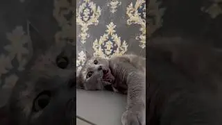 Трагедия Нашего Поколения